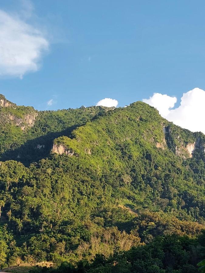 南乌河景别墅 Nongkhiaw 外观 照片
